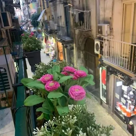 La Casa Di Patta A Spaccanapoli Naples